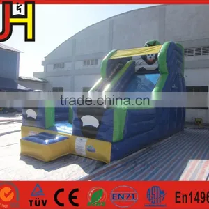 Blue Cat Outdoor Water Slide Inflatable Garden Water Slides For Parties thumbnail-2