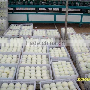 9KG Fresh Golden Pear 40-44 Size thumbnail-2