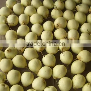 2015 Fresh ya Pear Packing in Carton With Good Quality thumbnail-6