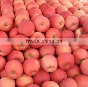 2012 Shandong Fresh Red Fuji Apple thumbnail-1