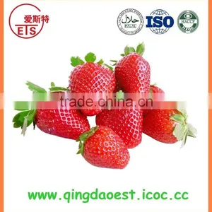 15-25 mm A13 High Quality Fresh Strawberry thumbnail-1