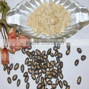 Chinese Best Quality Hot Sale Melon Seed Kernel thumbnail-1