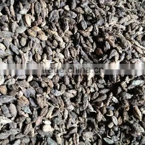 Black Cardamom Wholesale thumbnail-3