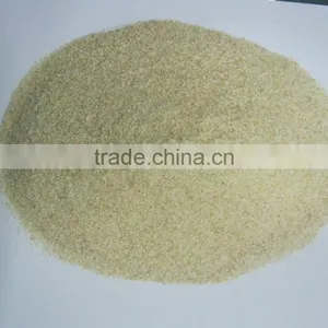Dehydrated White Onion Granules thumbnail-1