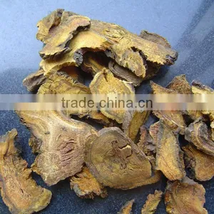 Rhubarb Root of Chinese Origin thumbnail-1