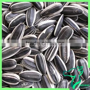 Black Sunflower Seeds In Shell thumbnail-3