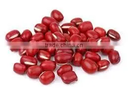 Small Red Beans From Vietnam Good Packaging for Sale thumbnail-1