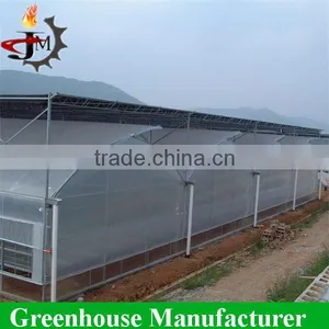 Economica Multi-span Polycarbonate Greenhouse Kits Wholesale thumbnail-1