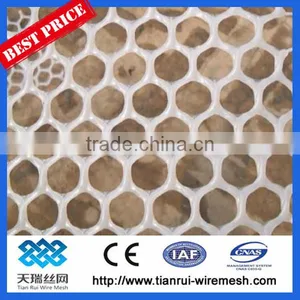 Plastic Plain Net /plastic Flat Net thumbnail-1