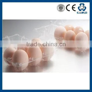Made In China Polystyrene Foam Egg Box Making Machine thumbnail-4