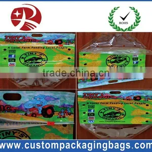 Co-extruded Slider Pouch Standing Pouch Grapes Zipper Laminated Bunch Bag thumbnail-2