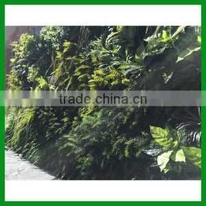 FO-GW018 Outdoor Green Plant Wall for Decor thumbnail-4