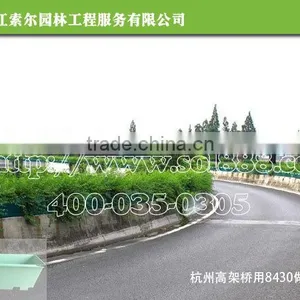 SOL 2015 Good Design Box Planter Decorative Window Box Planters Flower Box Planter thumbnail-1