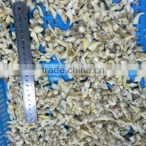 BQF Suff Clam Meat for USA Market thumbnail-6