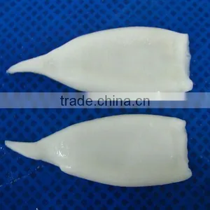 Pacific Squid Tube thumbnail-1