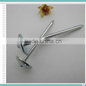 Top Quality Umbrella Head Roofing Nails/linyi Roofing Nails thumbnail-1