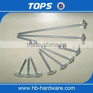 Smooth Shank Galvanized Roofing Nails/gal Roofing Nails thumbnail-5