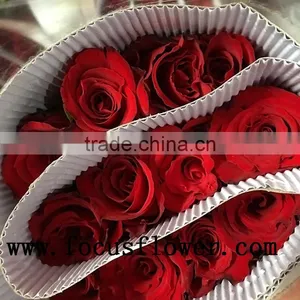 2016 Newest Jasmine Flower Importers Natural Flowers Fresh Rose Flower From Kunming thumbnail-5