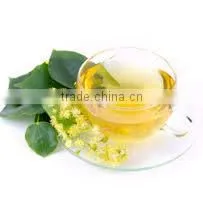 Tea Tree Oil thumbnail-4