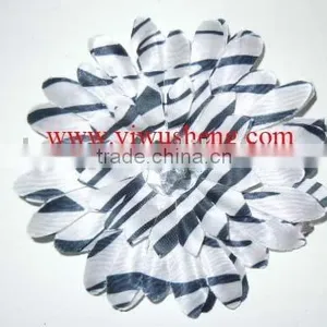 Black and White Zebra Flower Zebra Daisies thumbnail-1