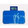 Kitchen Scale thumbnail-1