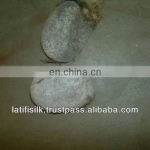 Cocoon thumbnail-1