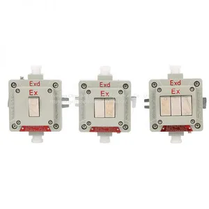 Explosion-proof Wall Switch BQK One Two Three Four Has the Certificate Lighting Switch thumbnail-4