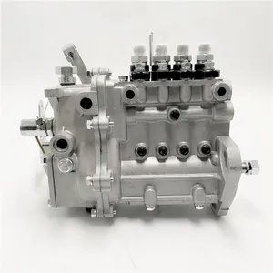 Hot Selling Original Injection Fuel Pump 495-13100 For Truck thumbnail-2