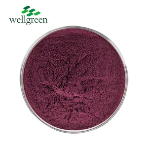 Plant Factory Hot Sale Low Price No Additives Food Grade Natural Elderberry Extract thumbnail-2