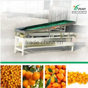 Apricot Sorting Machine thumbnail-4