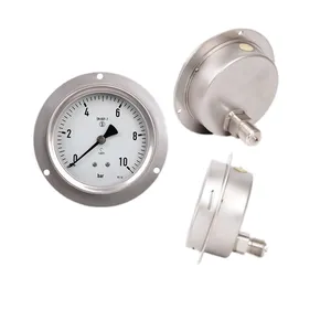 Stainless Steel Back Mounting Pressure Gauge, Shock-resistant Pressure Gauge for Water, Oil and Gas Hydraulics, Axial Pressure Gauge With Edge thumbnail-1