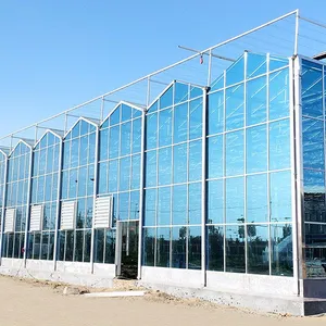 Large 10MM Tempered Glass for Agricultural Greenhouse and Building thumbnail-1