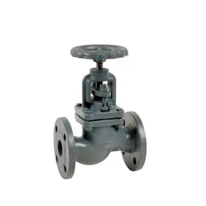 High Quality DIN Standard GG25 Flange End PN16 Cast Iron Bellows Seal Globe Valve Price thumbnail-4