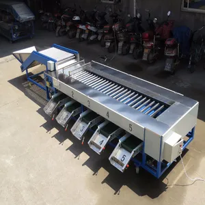 Vegetable Sorting Machine for Sale for Onion & Olive Sorting With Core PLC Components thumbnail-4