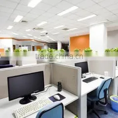 Shenzhen Picasso Trade Co., Ltd. company overview - view 2 thumbnail