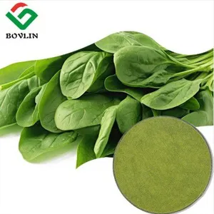 Organic Spinach Powder thumbnail-1