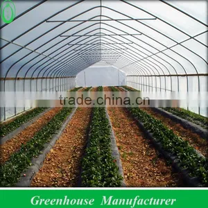 Popular Vegetable Tunnel Greenhouse thumbnail-1