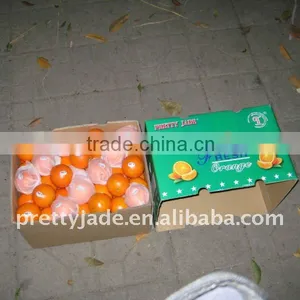 Chinese Fresh Navel Orange thumbnail-1