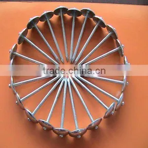 Copper Roofing Nails thumbnail-1