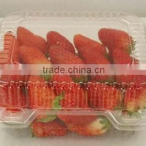 PET Plastic Transparent Boxes for Packing Strawberry thumbnail-4