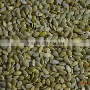 Hot Selling Shine Skin Pumpkin Seeds Where to Buy From Supplier thumbnail-5