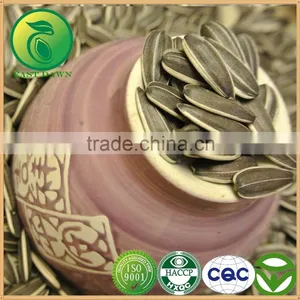 Export Sunflower Seeds With Good Price thumbnail-1