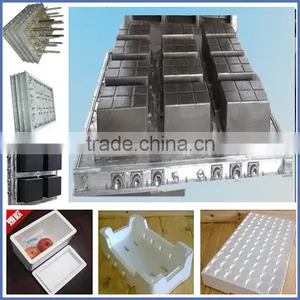 Customized EPS Moulds for Fruit Box Molds/Vegetable Box Moulds/Helmet Moulds thumbnail-1