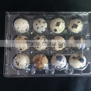 High Quality Disposable Plastic Eggs Tray Blister Packaging Quail Egg Tray 30 Holes Cells 30 Acounts Quality Choice thumbnail-4