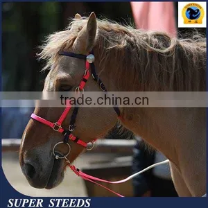 Horse Riding Equipment thumbnail-1