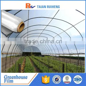 Long-life White Greenhouse Plastic Film thumbnail-5