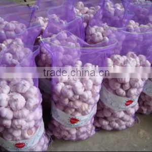 Fresh White Garlic thumbnail-1