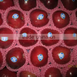Export Huaniu Apple Company thumbnail-6