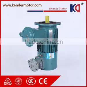 IP54 YVF2 Series Three Phase ac Induction Motor thumbnail-3