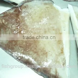 Giant Squid Wing thumbnail-2